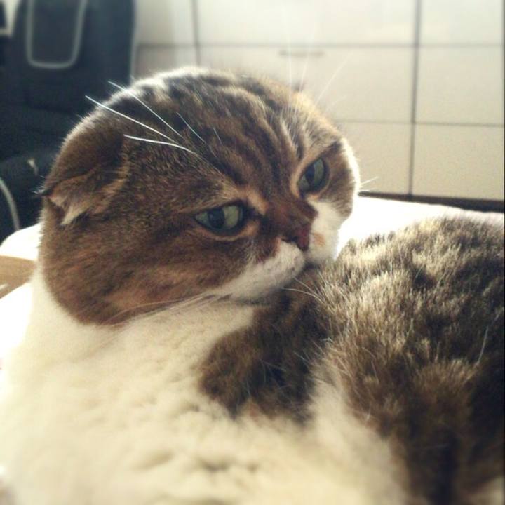 86d20057 09eb 4d23 825a 418ddd771eb4