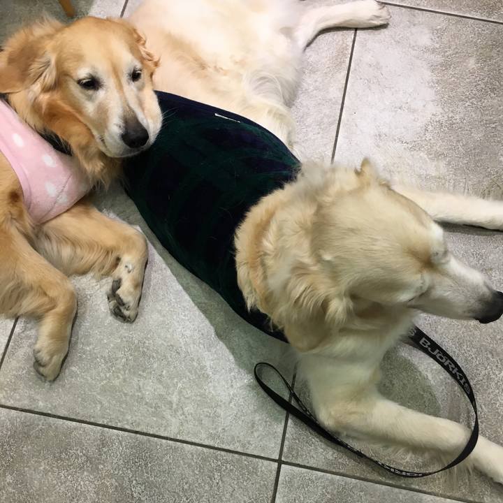 86d2ec42 7623 47de b01f 8c9451545f76