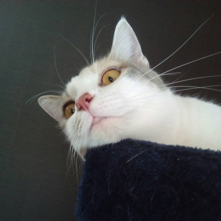 86d35478 818a 40b1 9ff7 52431175d5c7