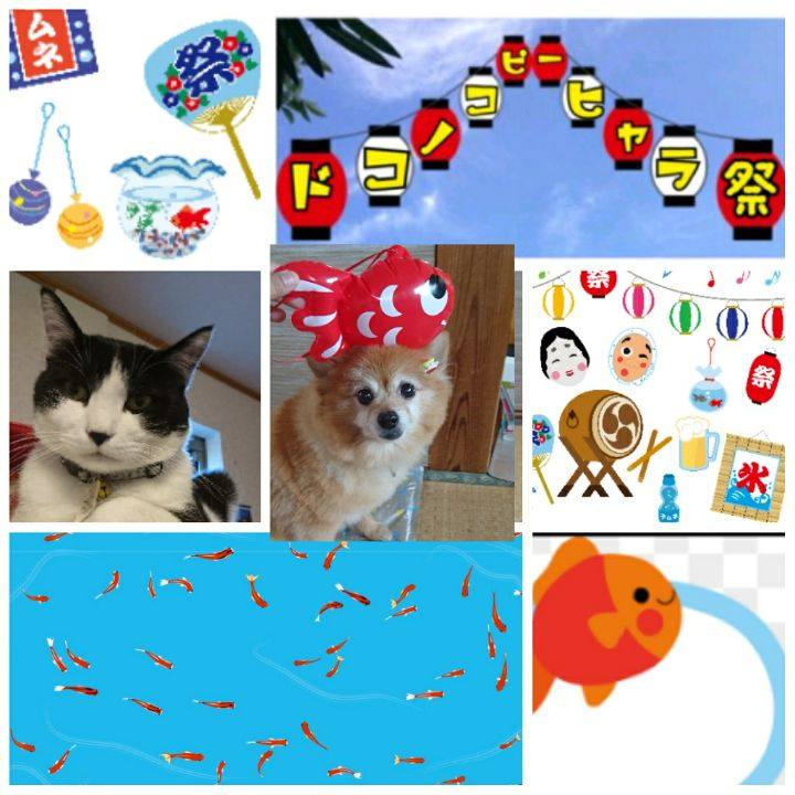 86d37a61 0eed 4305 b3e9 1fa1e05a3087