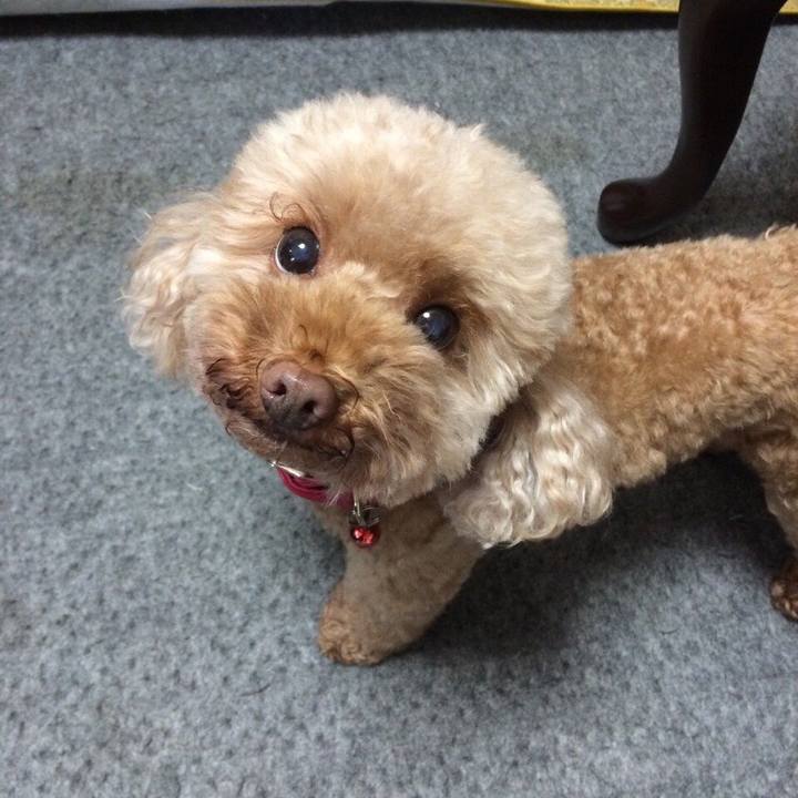 86d3d9b0 4271 4bf2 bbc3 adfd15081556