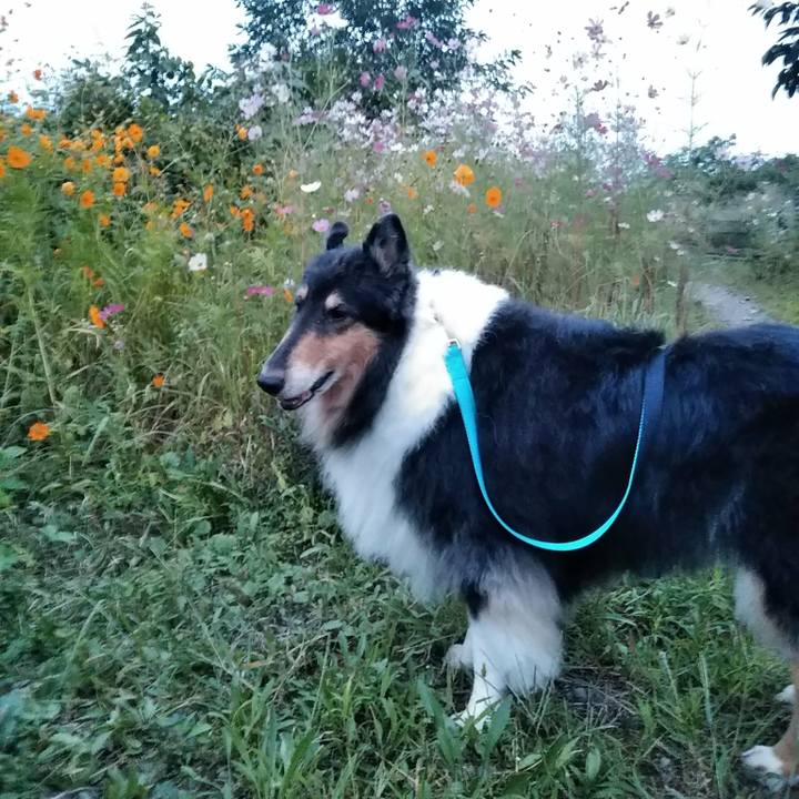 86d3ee8a d2bf 4430 93c3 a2307587023c