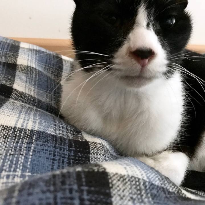 86d4c897 9736 4687 8c97 fd82c4c88d76