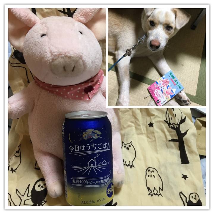 86d589e9 872f 492b bb78 72dd6dd020d0