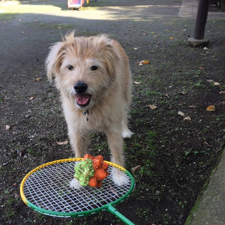 86d58b3d 68b1 43ea a44b f3a2a5b95130