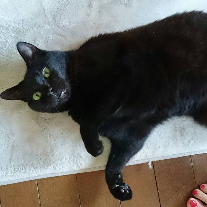 86d61804 cffb 485a bc86 0655c43631f8