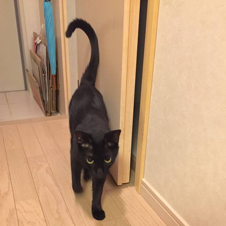 86d6c436 adcf 461f 883c ea70cfc7621c