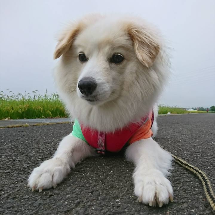 86d7b7c3 5dd7 4f9a 9738 2773a371d549