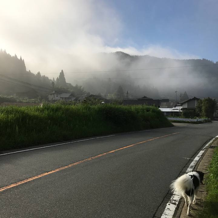 86d7f0e0 30a7 4cd0 be2f 02c3d5919ab7