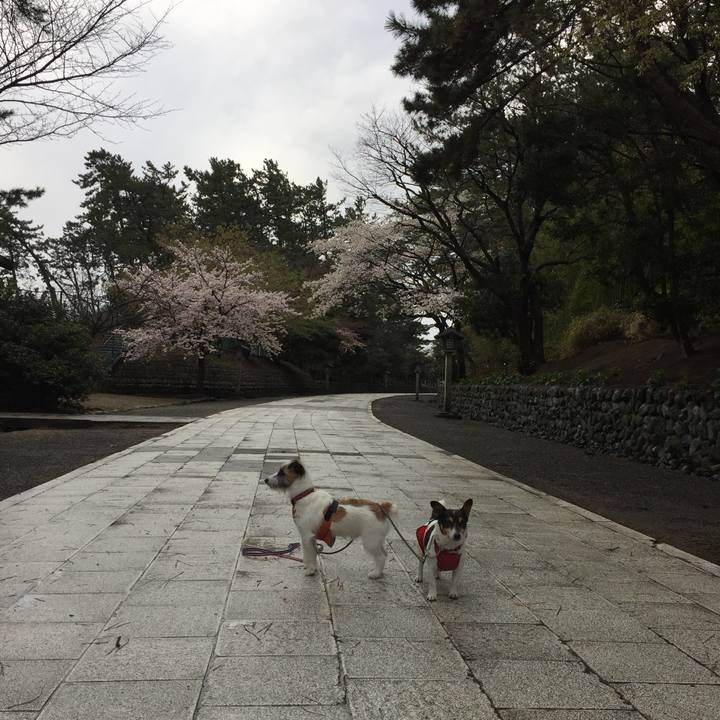 86d85737 17fd 4062 aad3 833c2bcb75de