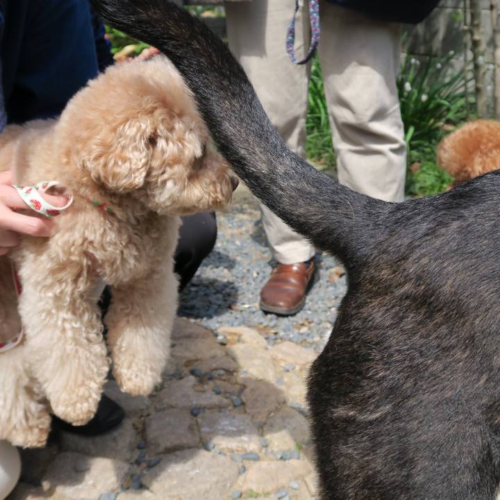 86d9328c 46c4 4bfd 8a1f 2e3a72c825e9