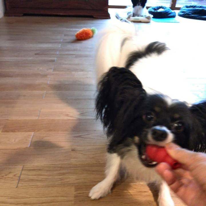 86d9f9f3 ad1f 4376 9189 87a16f1a2cec