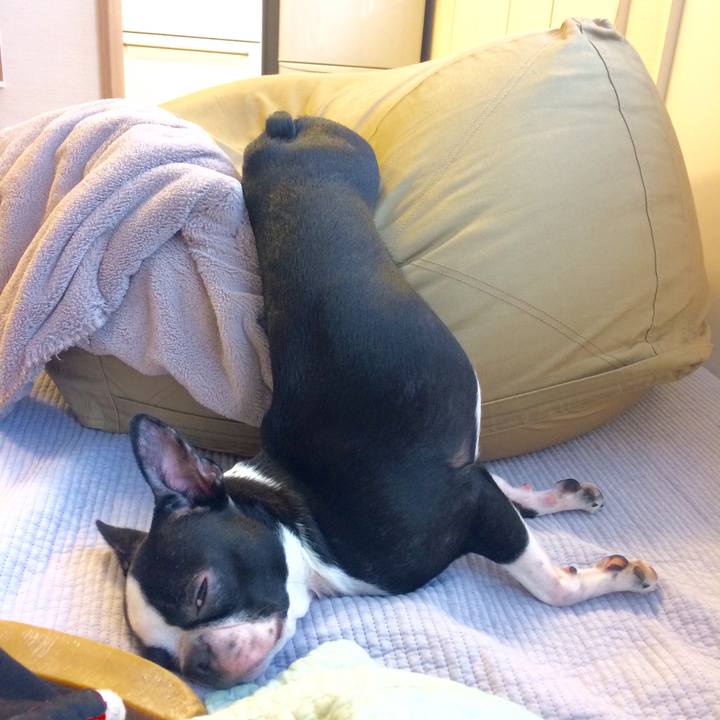 86da10a1 bc18 4ebb bf8f 89ffac38a7b3