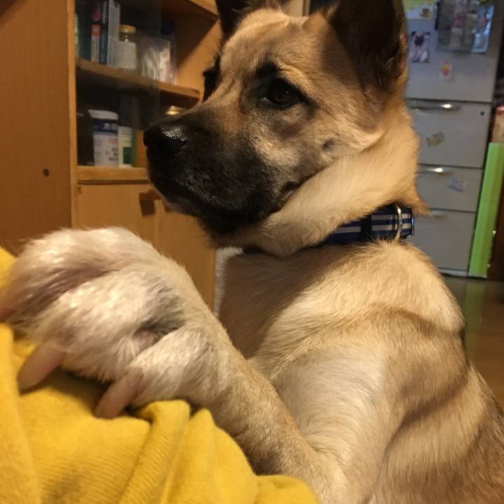 86da24d7 0ae4 46e7 96f4 3538d0c091a1