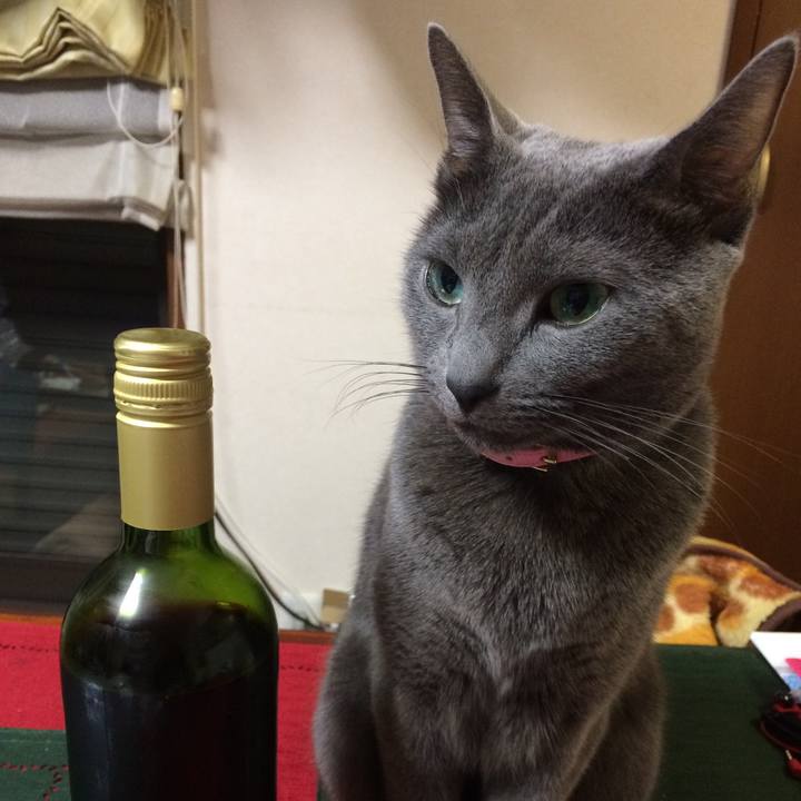 86db2eed 2e0e 4519 9fb6 cc1d57cb694a