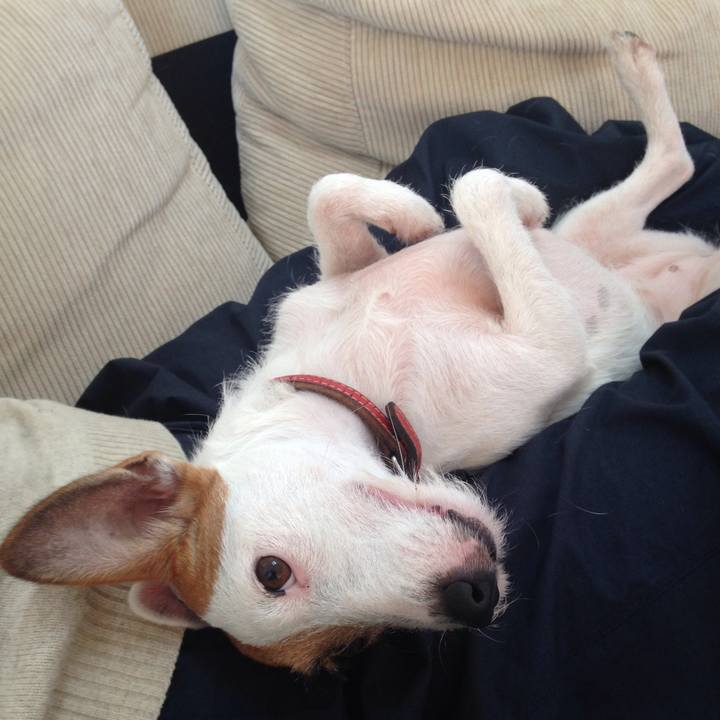 86dbd80e 1c95 49ac b362 8d965ea157a0