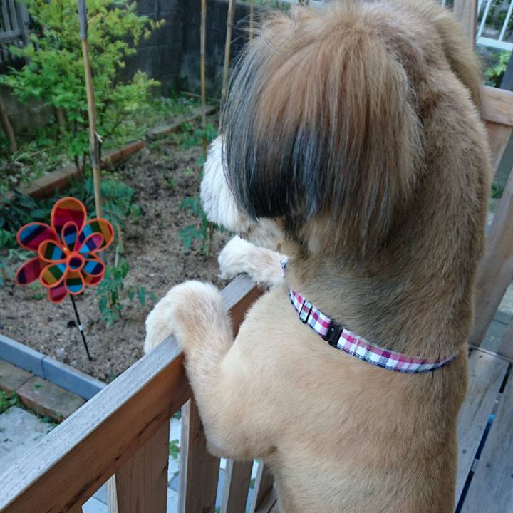 86dcecbe d9e4 4e72 b3f0 cd4422922d81