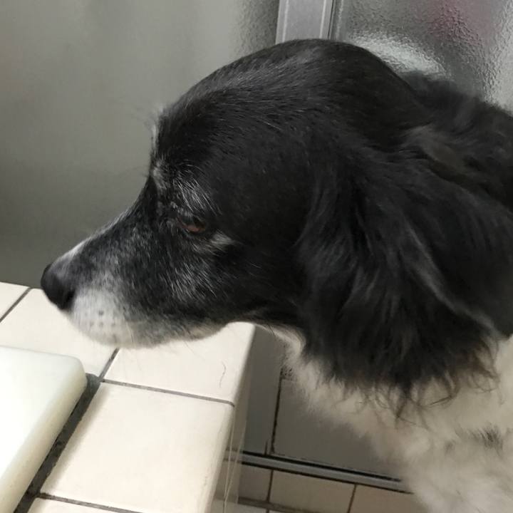 86dd0482 98cf 4bca a6b2 e82545805646