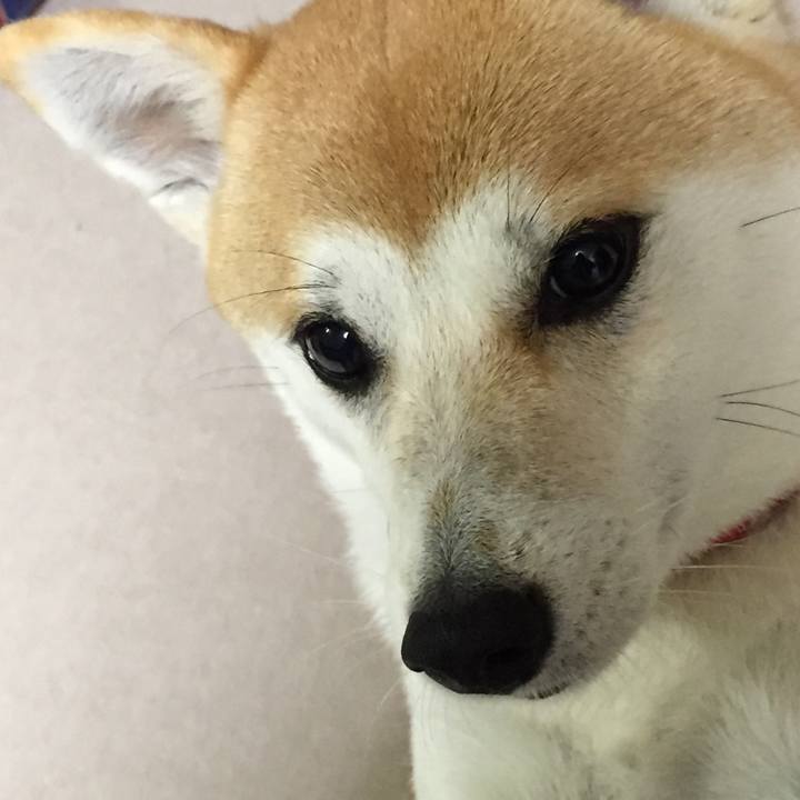 86dd2713 760d 471c a94d 30ec7fbe8318