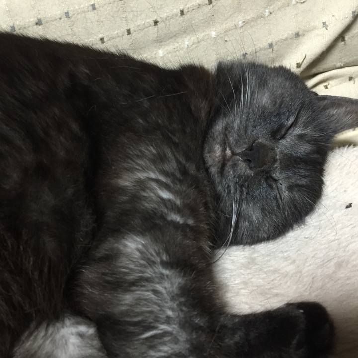 86ddc8dc cdd0 48fd b99c 517be8644998