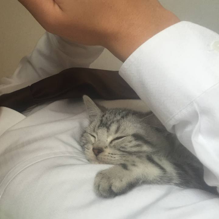 86de9a3a cc38 4989 af3c 84cc4f42ecf6