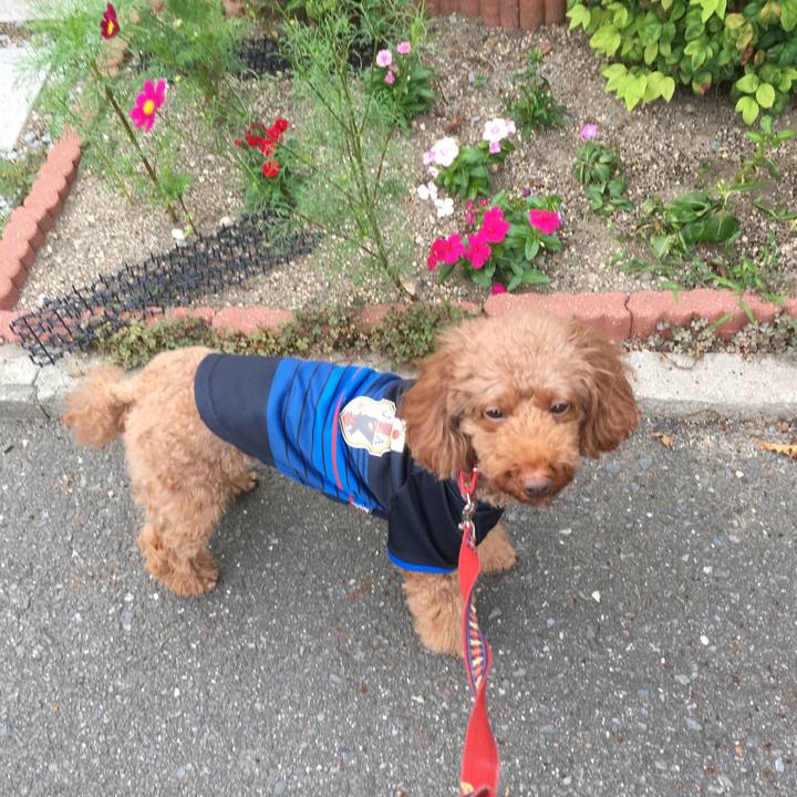 86de9b3e 77c2 4573 874a 2f90cc117f35