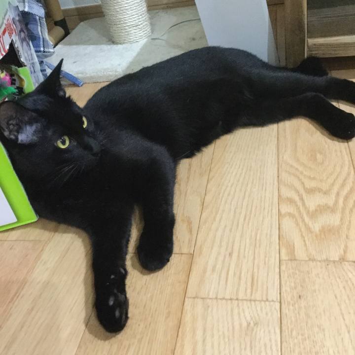 86df5913 4b72 4af8 b4ae 01e8dbb26908