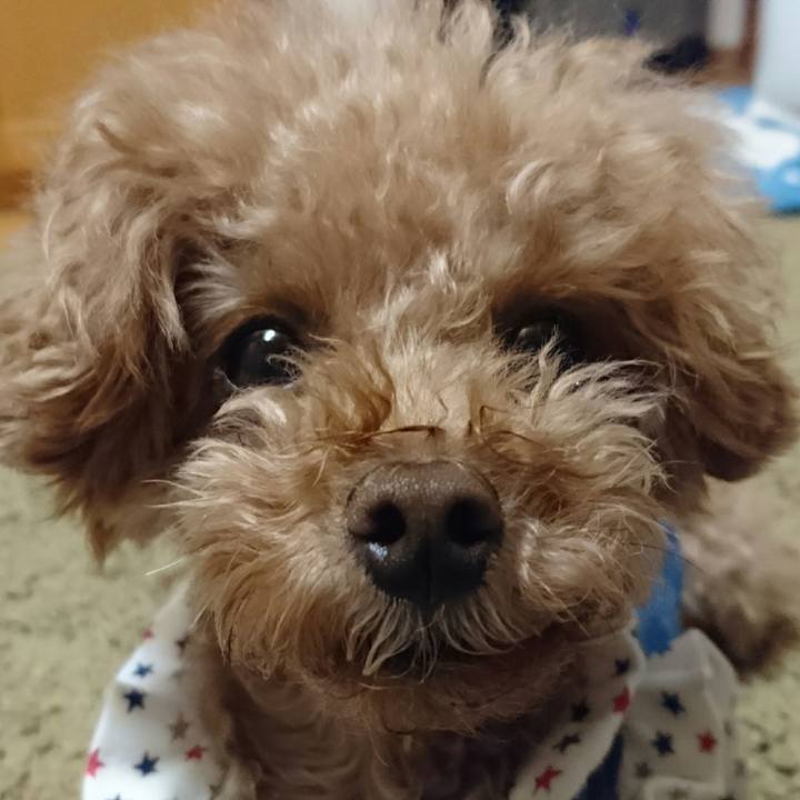 86dfd5e5 6a91 4c18 b15d 0b56342e68a4