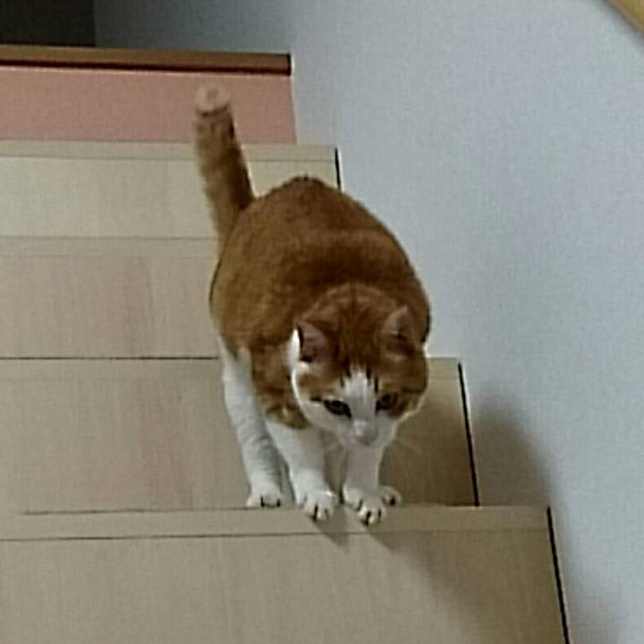 86dfdf0c 7993 45c3 8879 8501dac437ca