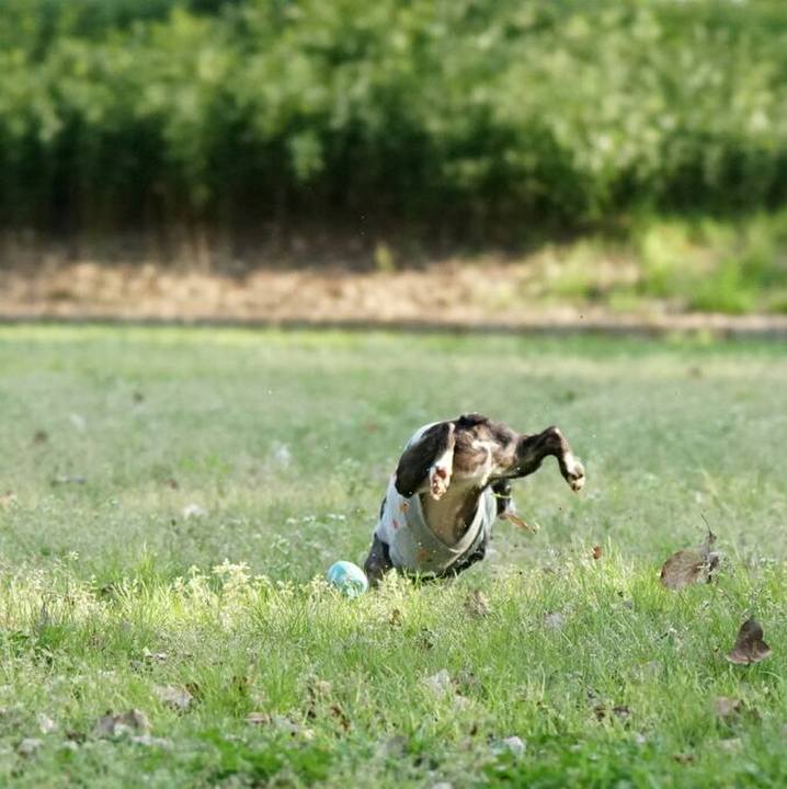 86e007c2 b1a3 4152 8a69 db5154e5966e