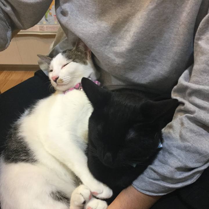 86e04bab 10fb 4f71 9c03 cc1a5b3850fc