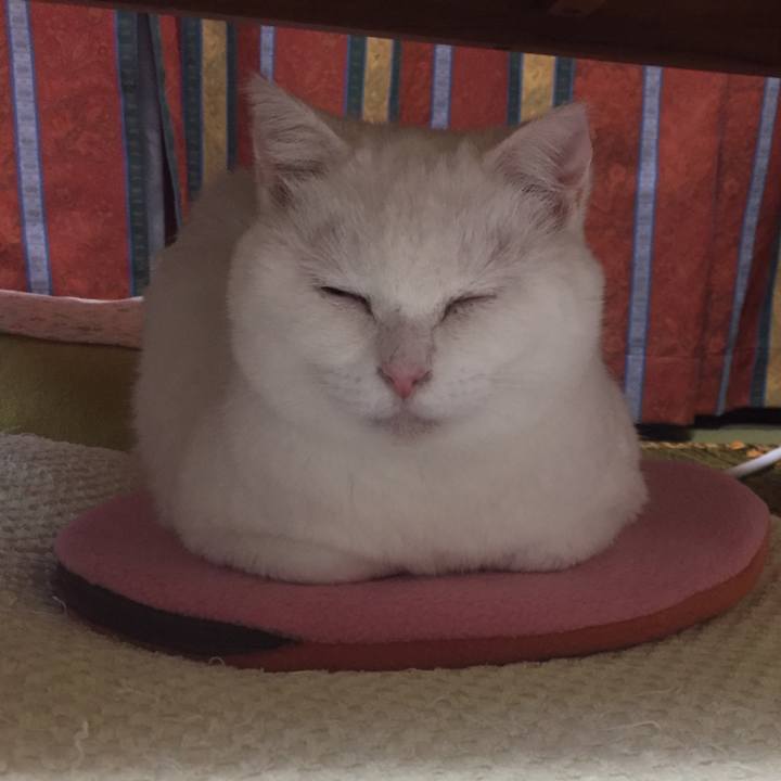 86e16f14 f89f 4564 acbe 8aa4337f7d0a