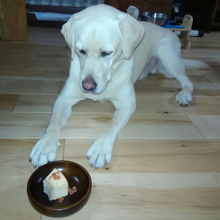 86e17004 d772 499b b60d 80af35974000