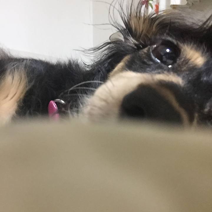 86e173ab 3901 4354 8013 88fcb32e3317