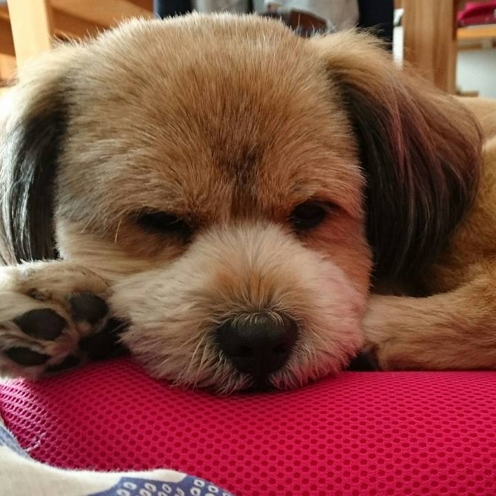 86e17b9a d195 48f9 a34e 89c15d20b605