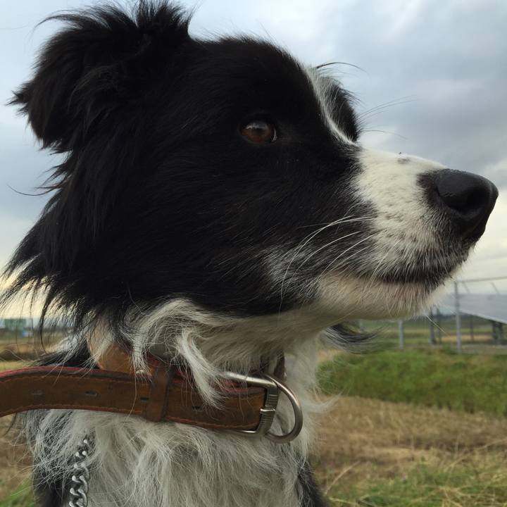 86e1b3fa 5c39 48a3 9f5e 94d7b16c990c