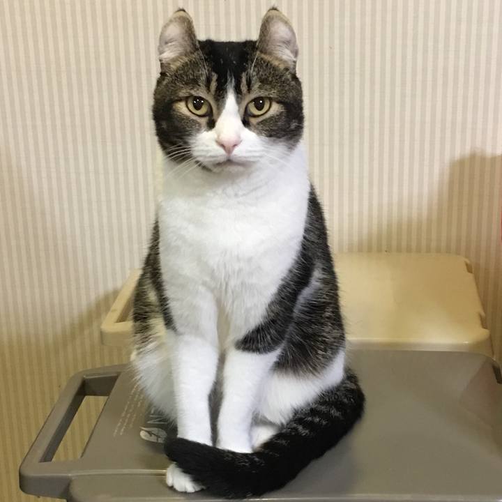 86e1d53f a574 4b8a 92c3 9dac13df5998