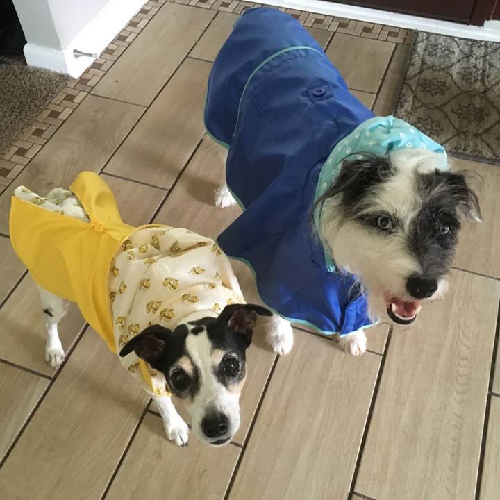 86e31fc6 7630 416a 9d83 c12f6e862811