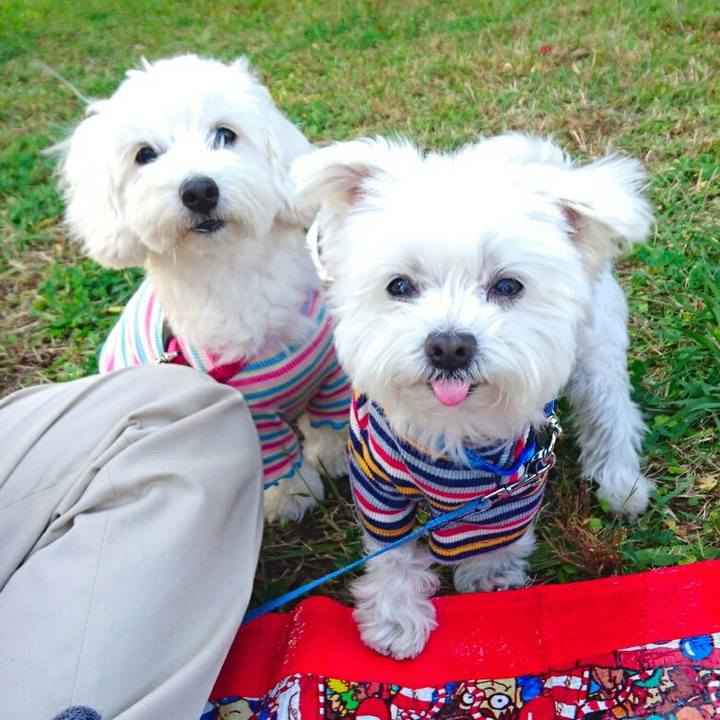 86e32a12 9674 4e71 a6ae 46578730e5ef