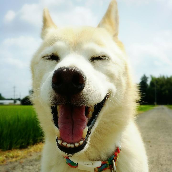 86e400db 4a46 48bc aa49 cb65b9e37557