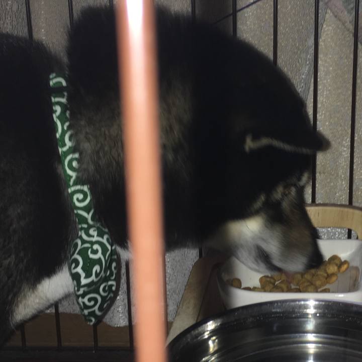 86e40269 8d1c 4b08 aa27 a83cf0cfabe1