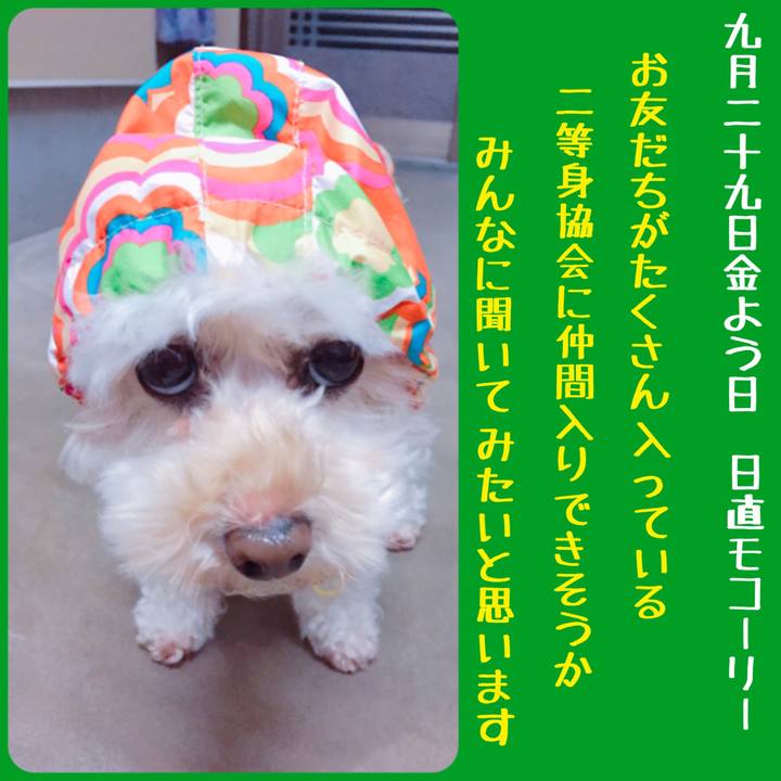 86e4d100 a4de 4609 8853 949c11d9af9c