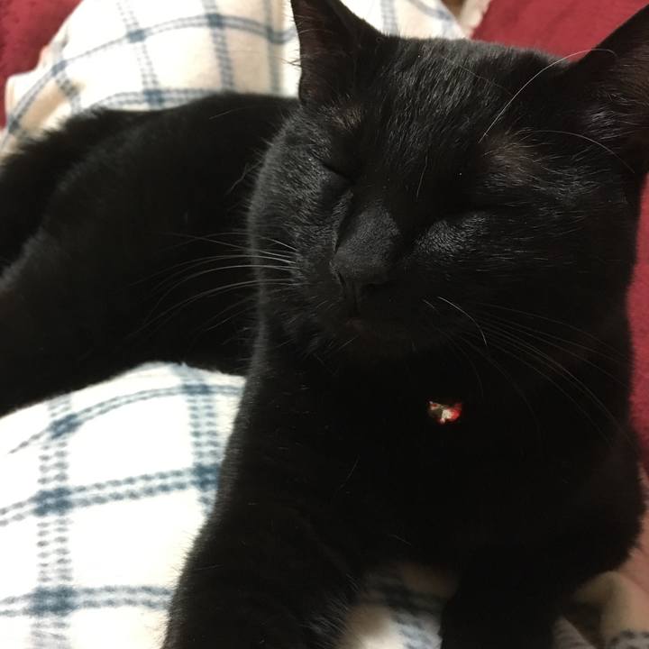 86e548f2 5ac6 45cc b273 1c7f62d9d4e1