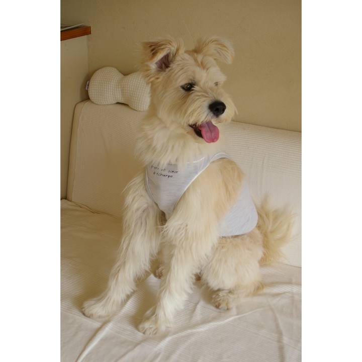 86e64886 9fdc 449d a7e8 377dcfb0651c