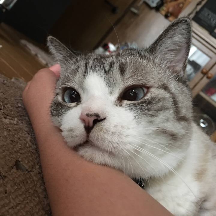 86e71240 f14a 4aaf 93fa 87185a38a62c