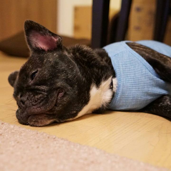 86e71cd6 5898 4920 9dee bdebfb4d2780