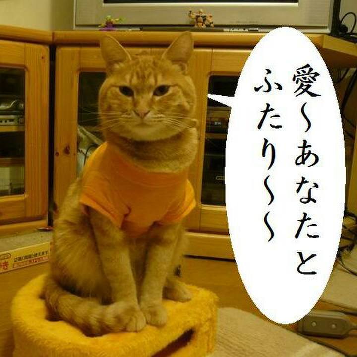 86e72b14 5ad1 4907 b4f2 85c7d252c5a8