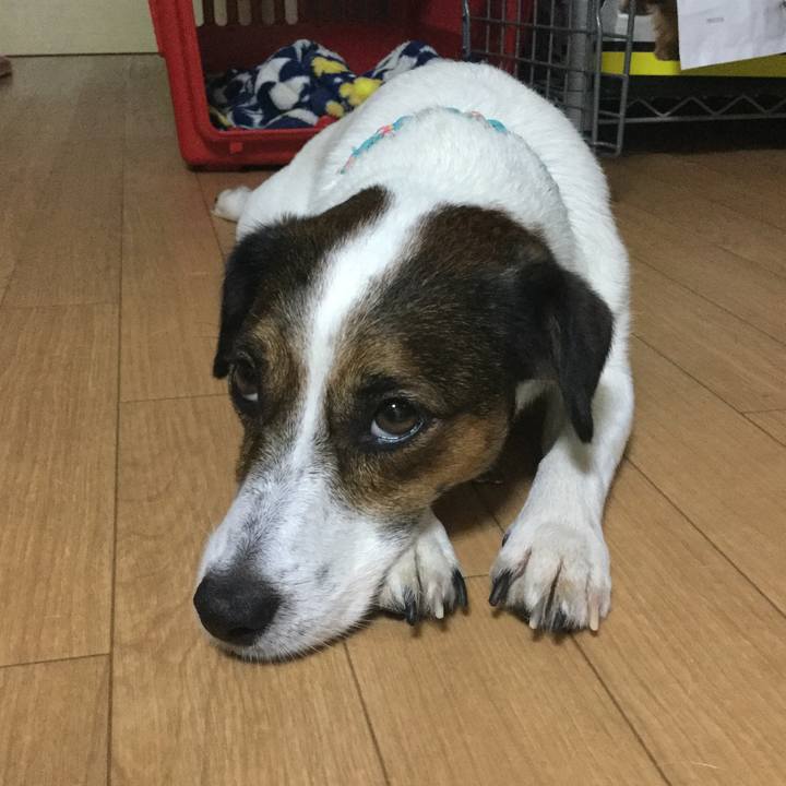 86e7d8fc 9802 4211 a79d 9935ba2aa53b