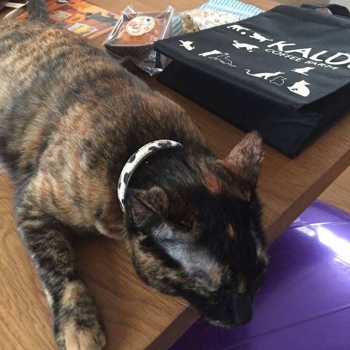 86e7f211 9f15 4826 978f 548ee3522f86