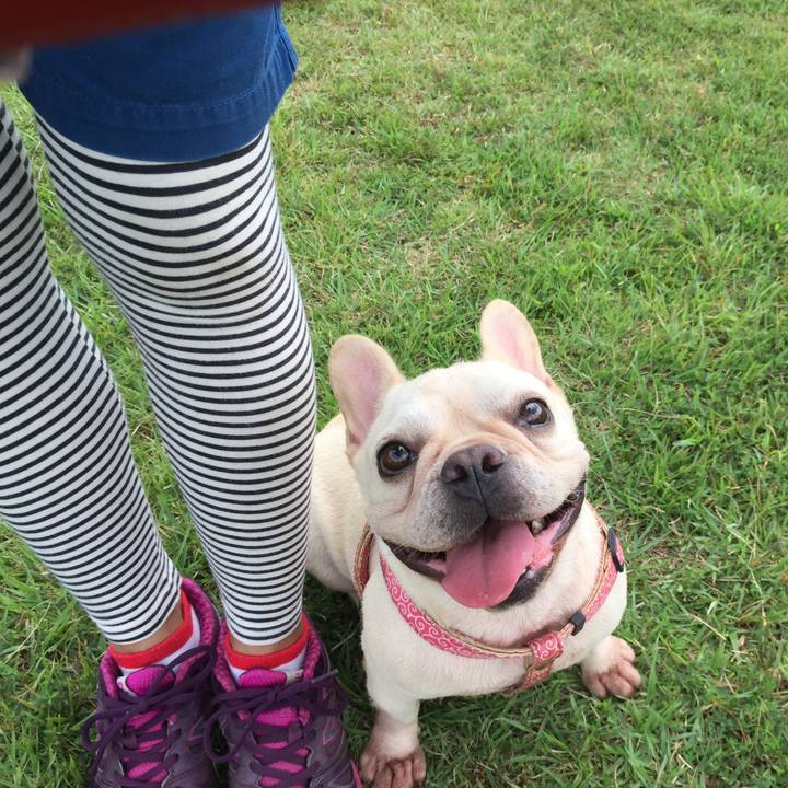 86e8ed39 c55f 4574 a44b 0100736246da